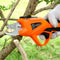 Branch Scissors
